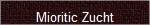 Mioritic Zucht
