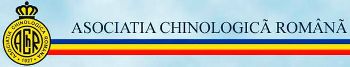 www_ach_ro