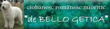 www_debellogetica_ro